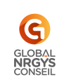 GLOBAL NRGYS CONSEIL